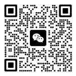 广东智子智能技术有限公司